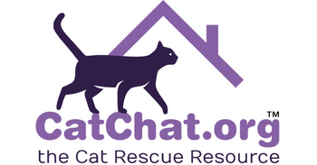 Cat Chat free will